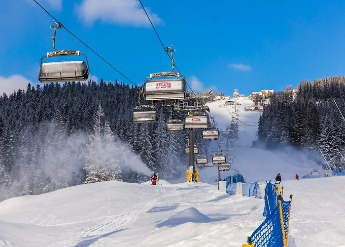 Apartament Polana Szymoszkowa - Mountain View Zakopane